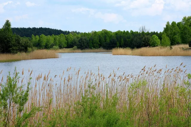 Młynek elektryczny  do ziarna Waldner Biotech SILENCE 