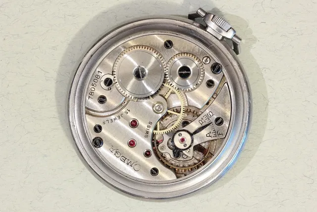 Wyciskarka ślimakowa Omega 8006 (8226)