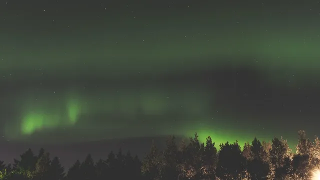Wyciskarka dwuślimakowa Green Star Elite