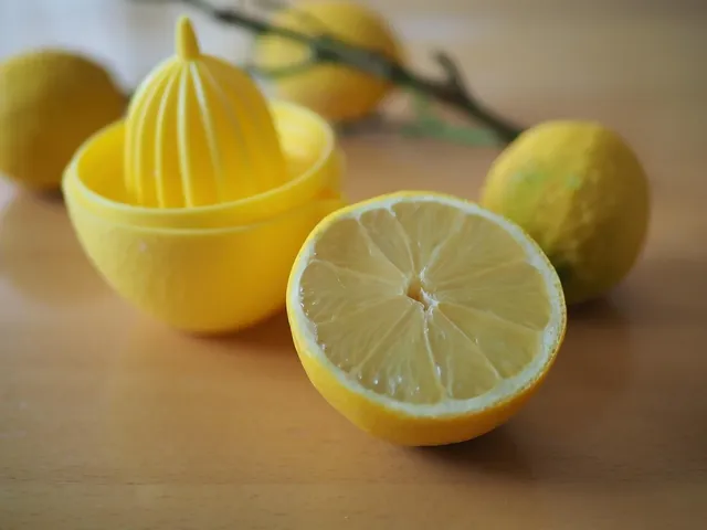 Wyciskarki ślimakowe 