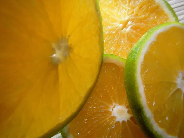 Mechaniczna wyciskarka do cytrusów Restaurant Pro Citrus Juicer