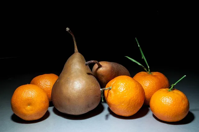 Mechaniczna wyciskarka do cytrusów Restaurant Pro Citrus Juicer
